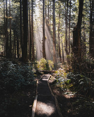 happiness is about life