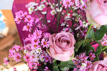 flowers bloom and rose for background