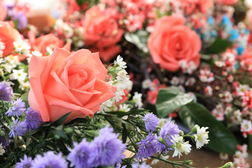 flowers bloom and rose for background