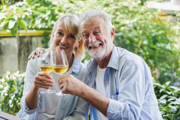 Senior couple enjoy drinking and clinking glass of wine to relax at home, senior retirement concept