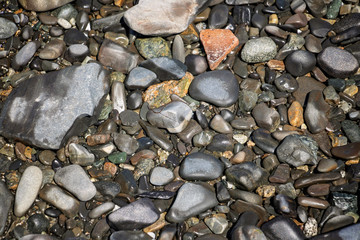 Low Tide Ocean Rocks Variety of rocks brought in by the tide create an interesting texture or background.