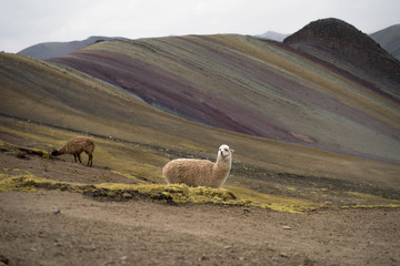 Naklejka premium youre missing out