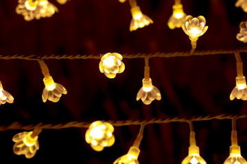 light bulb on the electric cable line