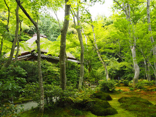 京都　嵯峨野　祇王寺