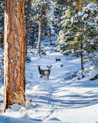 my favorite places around the world