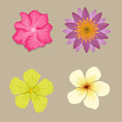 Big of beautiful colorful flowers. Vector illustration.