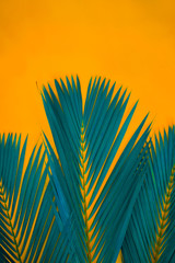 Obraz premium Blue tropical palm leaves on bright Orange background. Creative nature layout tropical palm made leaves blue trendy pastel background. Concept art. Summer concept.