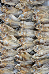 dried fish