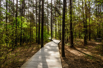 Jingyuetan National Forest Park, Changchun China 