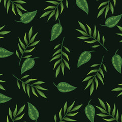 nature leaves with branches plants background