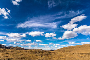 grassland of China under blue sky