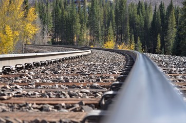 railway in the forest