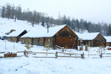 village in winter