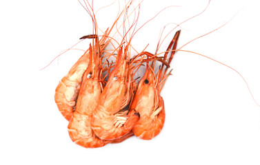 Boiled shrimps shellfish on white background - seafood cooked shrimps prawns top view