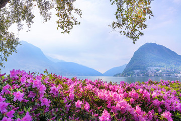 Beautiful view of the lake surrounded by mountains from the botanical flower garden of Lugano on a spring morning, Ticino, Switzerland