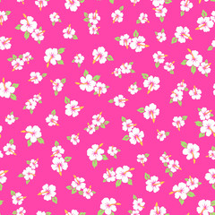 A flower pattern illustration of the Hibiscus.