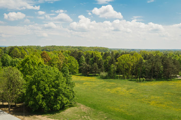 Nice aerial view to meadow with trees, Czech landscape