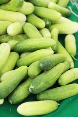 Fresh cucumbers for cooking in the market