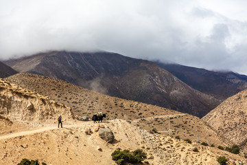 mountains in Himalaya of China