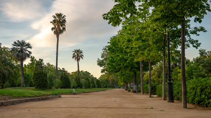 Fototapeta premium Ciutadella Park in Barcelona at the spring time.