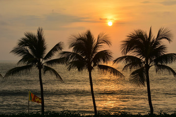 Sri Lanka Colombo sunset palms with national flag