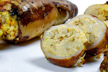 Charcoal grilled stuffed Squid Calamari cattle fish on white background