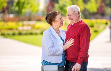 Obraz premium Happy senior couple in summer park