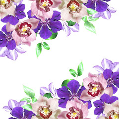 Beautiful floral background of clematis and orchids. Isolated