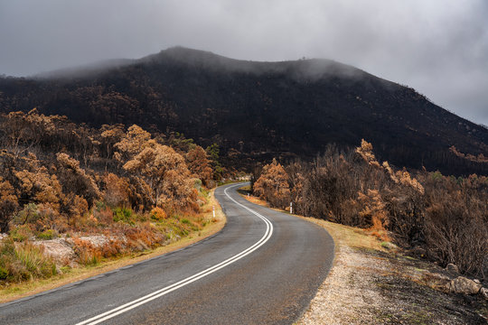 Fire damage at The Needles along the Gordon River Road in Tasmania. The area was damaged in one of the massive fires that destroyed 3% of Tasmania in 2019.