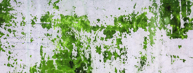 Old concrete wall stained with green paint. Design texture for house interior or wallpapers.