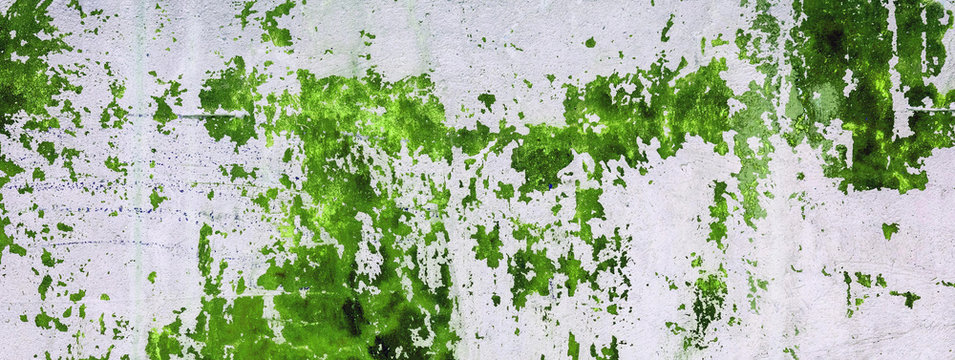 Old Concrete Wall Stained With Green Paint. Design Texture For House Interior Or Wallpapers.