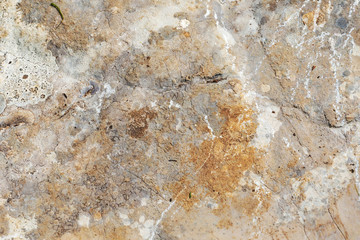 Obraz premium Natural stone with a natural texture for finishing buildings.