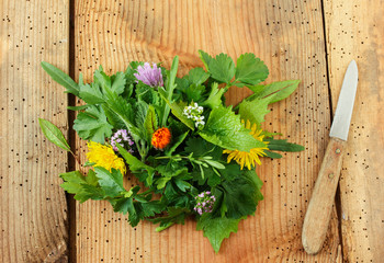 Wildkräutersalat Tisch Brett Messer sammeln essbare Blüten essbare Blüte