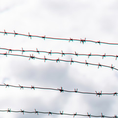 Barbed wire on country border. Barbwire on fence for prohibition of illegal aliens crossing. Glitch...