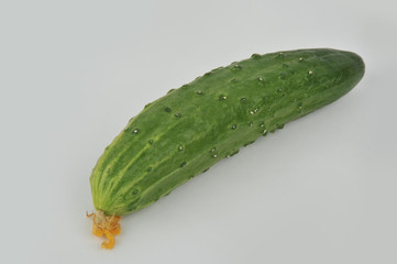 Cucumber isolated on an isolated gray background