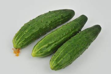 Cucumbers isolated on an isolated gray background