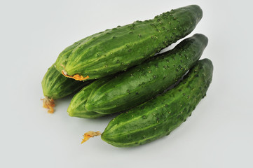 Cucumbers isolated on an isolated gray background