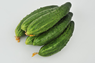 Cucumbers isolated on an isolated gray background