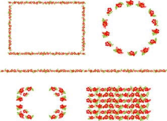 ハイビスカス　セット