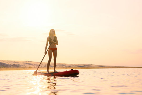 Silhouette Of Woman Standing On Paddle Board