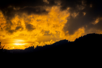 Fiery sunset with trees silhouette