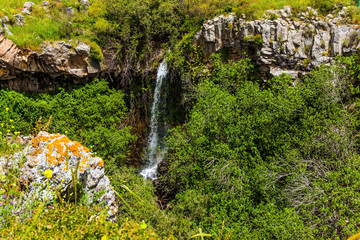 Waterfall in the basalt gorge