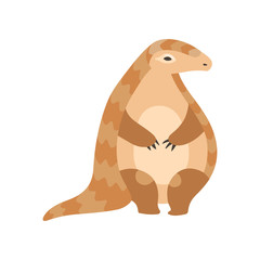 Cute Pangolin Animal, Front View Cartoon Vector Illustration