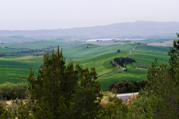 Beautiful spring evening froggy landscape in Tuscany