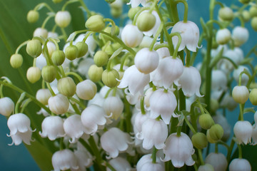 bouquet of lilies of the valley in a vase on the table flowers spring