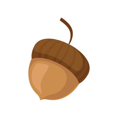 Acorn in a striped hat on a branch. Vector illustration.