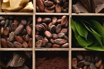Box with cocoa products, top view