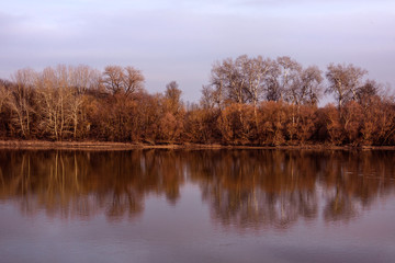 Hungary: The beautiful banks of Danube Donau river in red late afternoon sunlight with trees, bushes, reflection and grey sky - concept awsome nature beauty water reserve natural travel environment