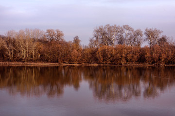 Fototapeta na wymiar Hungary: The beautiful banks of Danube Donau river in red late afternoon sunlight with trees, bushes, reflection and grey sky - concept awsome nature beauty water reserve natural travel environment