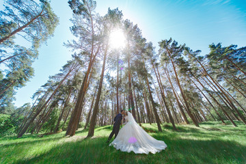 Groom in a suit holds bride in a white wedding dress outdoor.Happy young  newlywedssmiling on their wedding day.bride and groom hugging at the wedding in nature.wedding concept